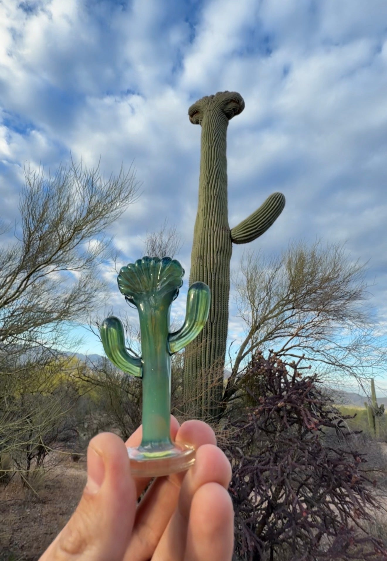 Crested Saguaro Sculpture